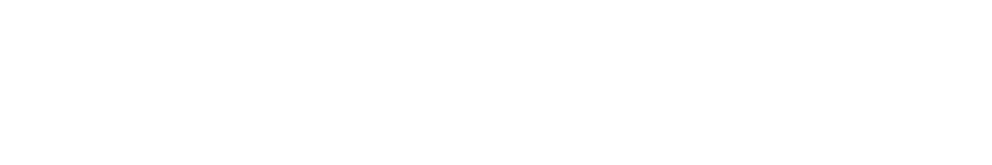 The Academy LLC